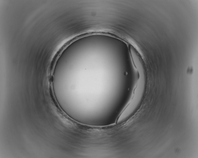 X0000091991124200709201442