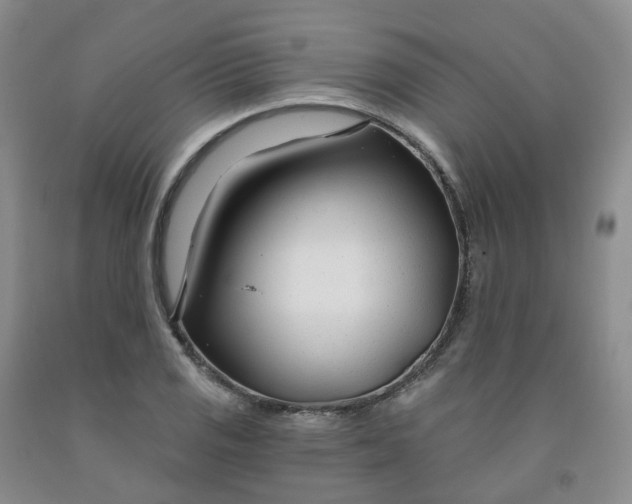 X0000091991125200709201442