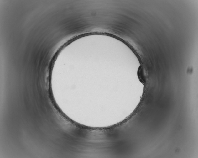 X0000091991126200709201442