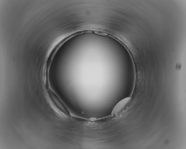 X0000091991128200709201442