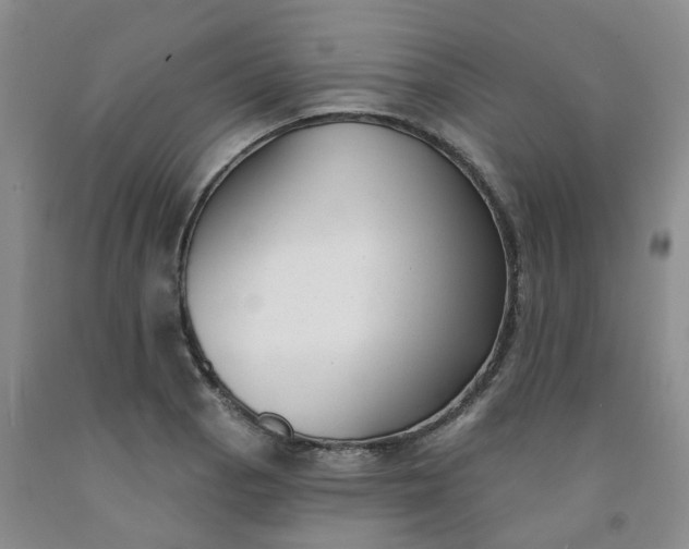 X0000091991129200709201442
