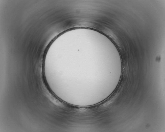 X0000091991130200709201442