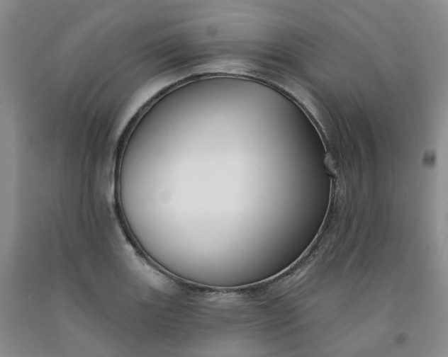 X0000091991131200709201442