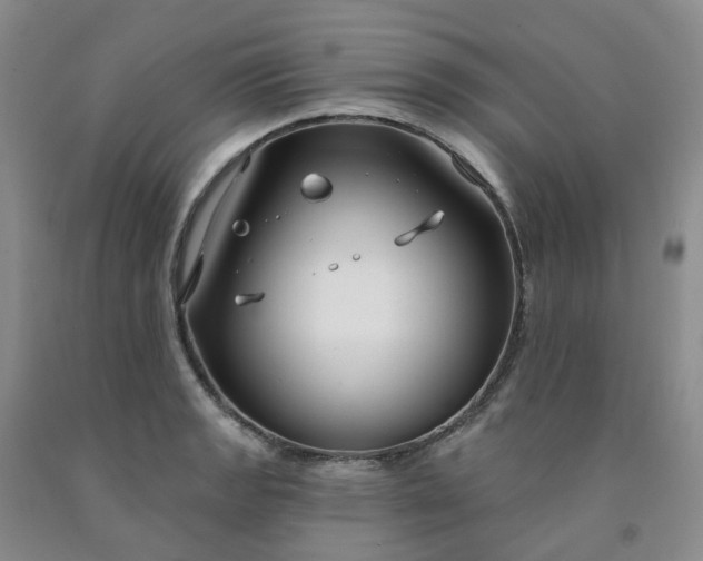 X0000091991133200709201442