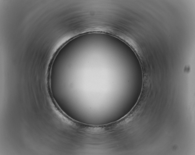 X0000091991135200709201442