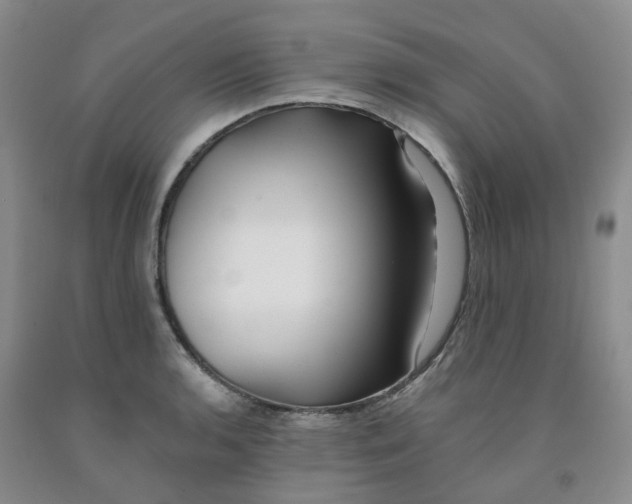 X0000091991136200709201442