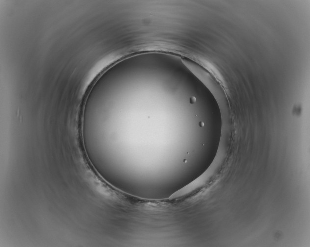 X0000091991138200709201442