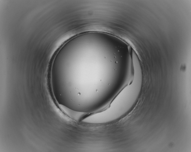 X0000091991139200709201442