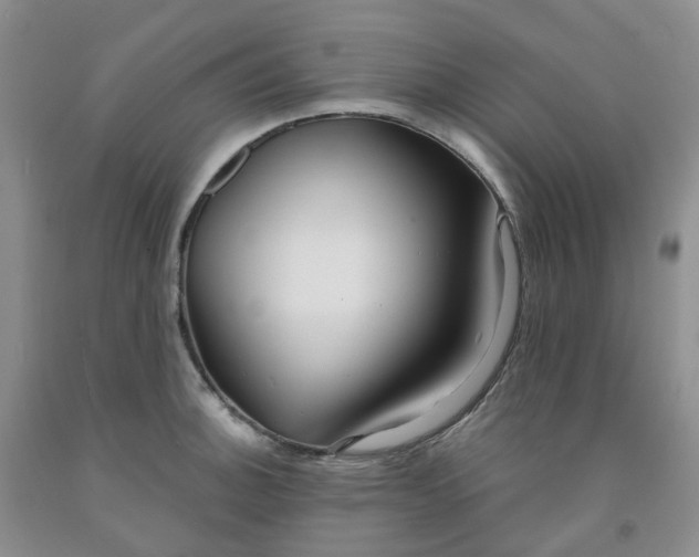 X0000091991140200709201442