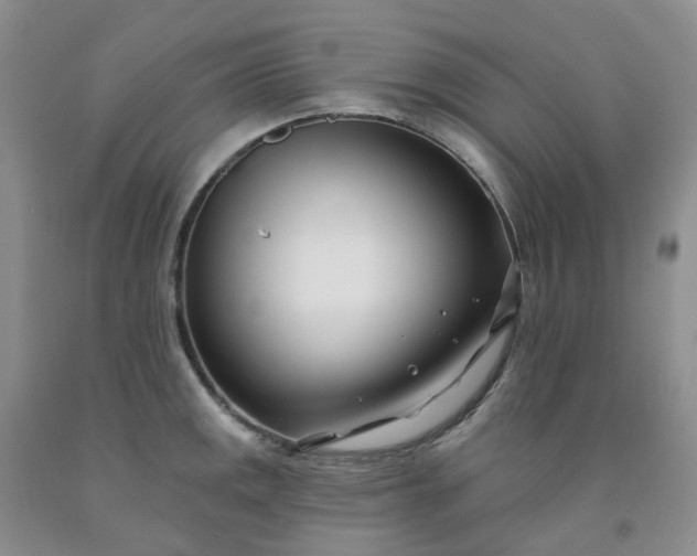 X0000091991141200709201442