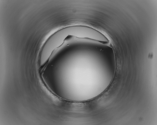 X0000091991142200709201442