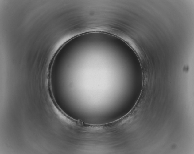 X0000091991143200709201442