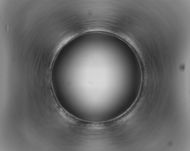 X0000091991145200709201442
