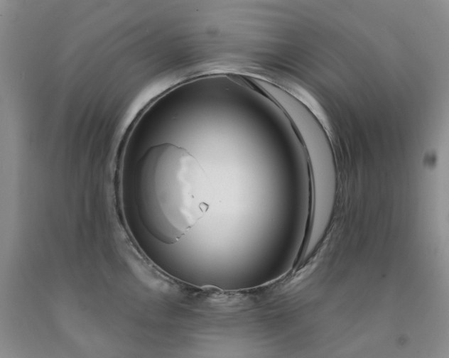 X0000091991146200709201442
