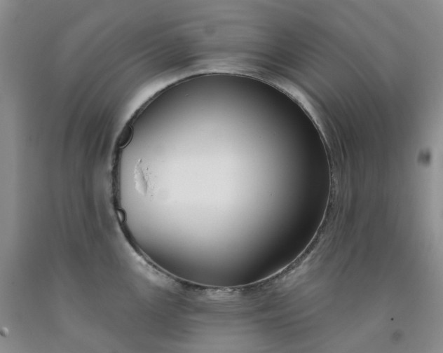 X0000091991147200709201442