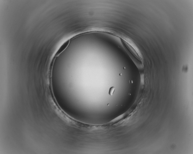 X0000091991148200709201442