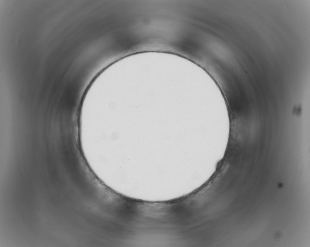 X0000091991150200709201442