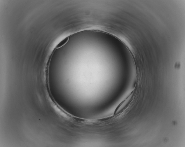 X0000091991151200709201442