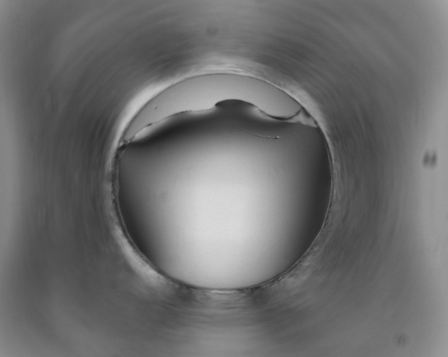 X0000091991152200709201442