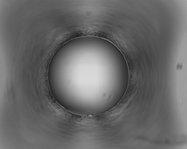 X0000091991153200709201442