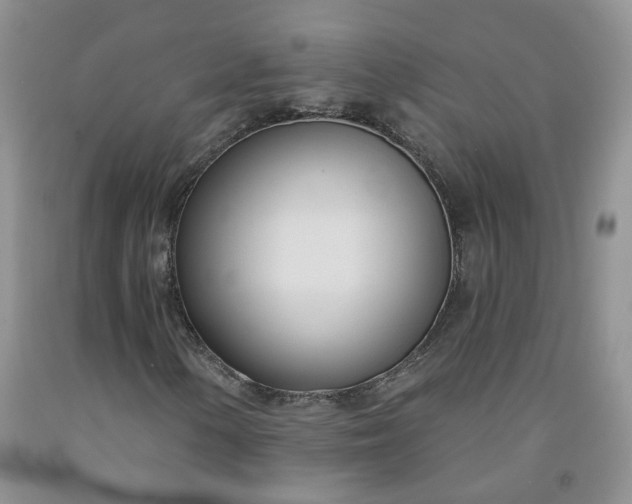 X0000091991154200709201442