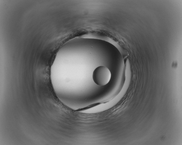 X0000091991156200709201442