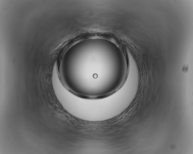 X0000091991157200709201442