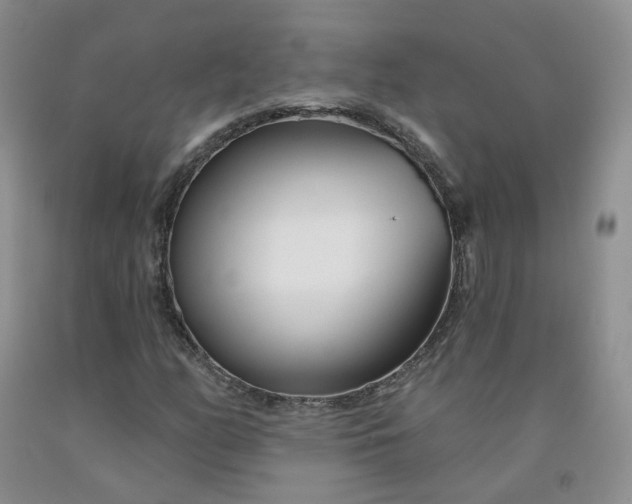 X0000091991158200709201442