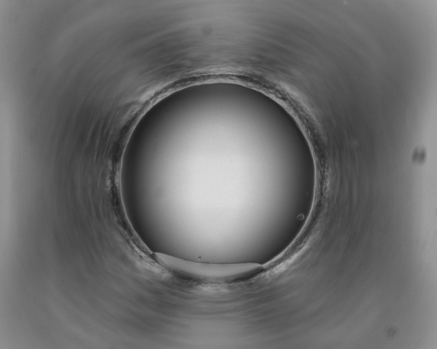 X0000091991161200709201442