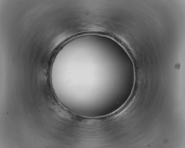 X0000091991163200709201442