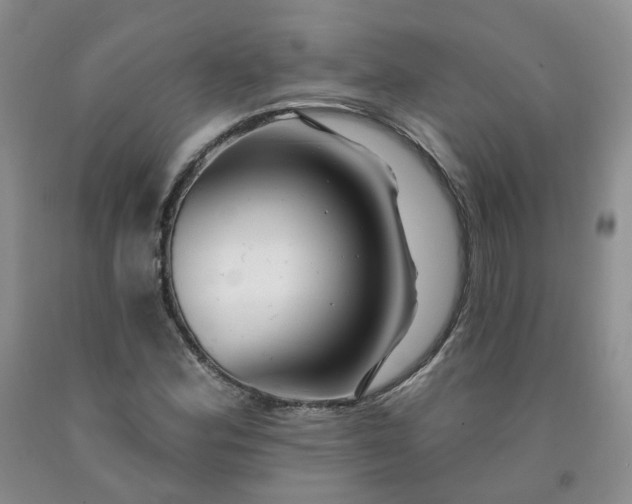 X0000091991164200709201442