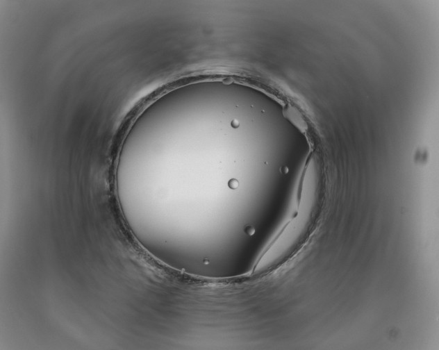 X0000091991166200709201441