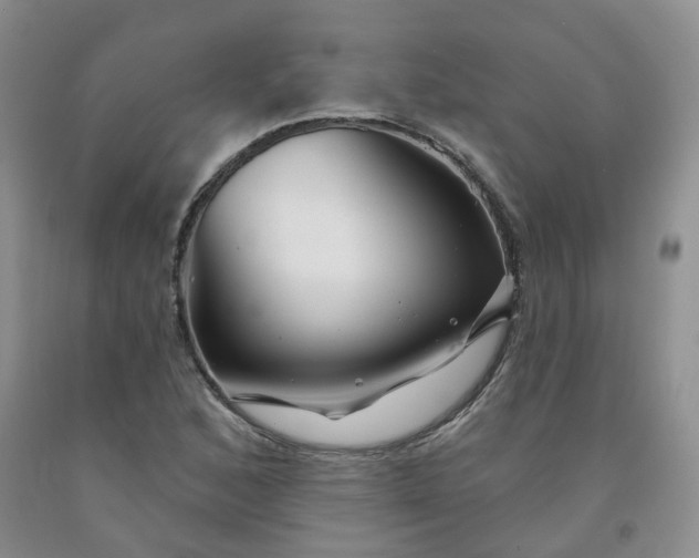 X0000091991168200709201441
