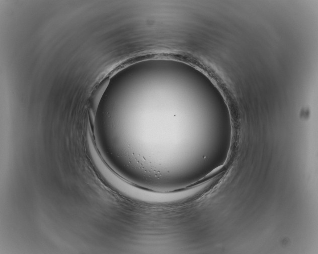 X0000091991169200709201441