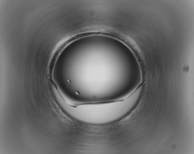 X0000091991172200709201441