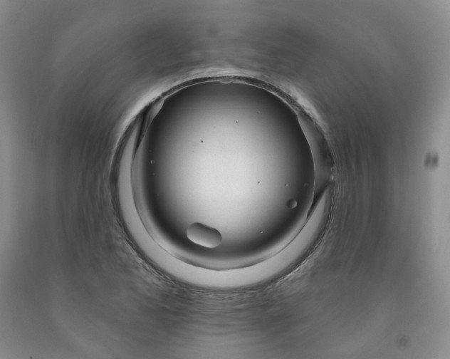 X0000091991173200709201441