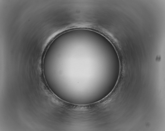 X0000091991174200709201441