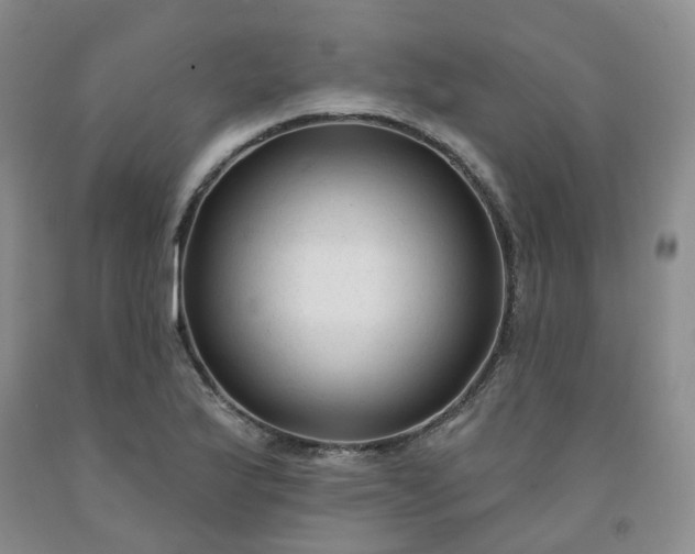 X0000091991175200709201441