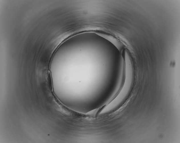 X0000091991177200709201441