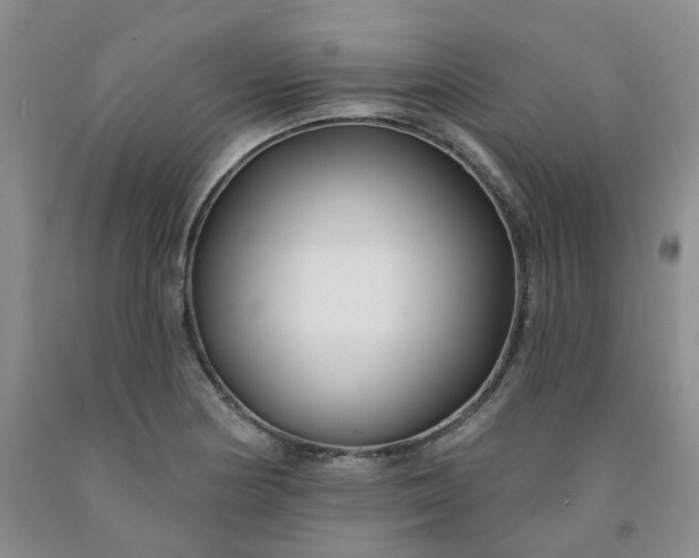 X0000091991178200709201441