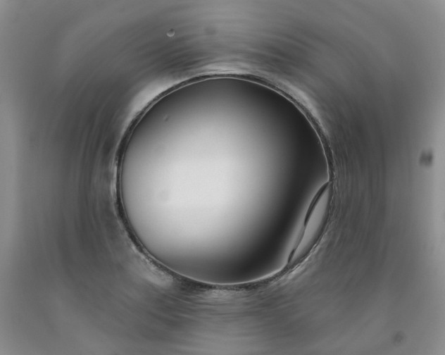 X0000091991179200709201441