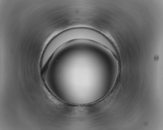 X0000091991181200709201441