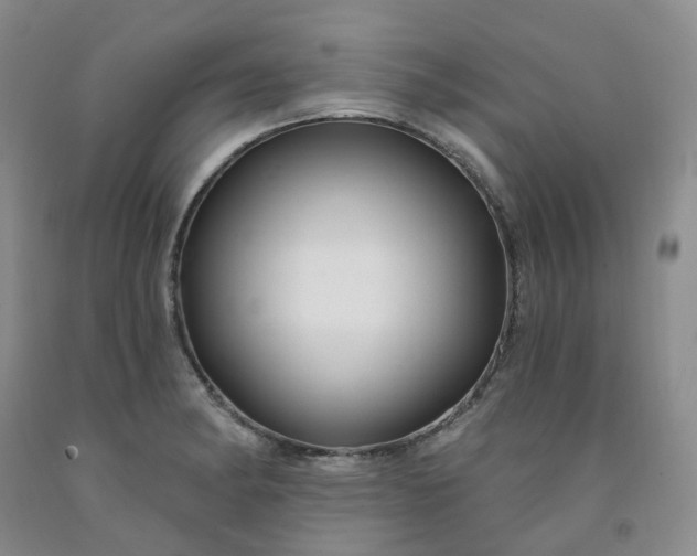 X0000091991182200709201441