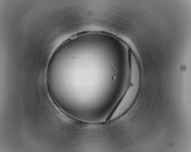 X0000091991183200709201441