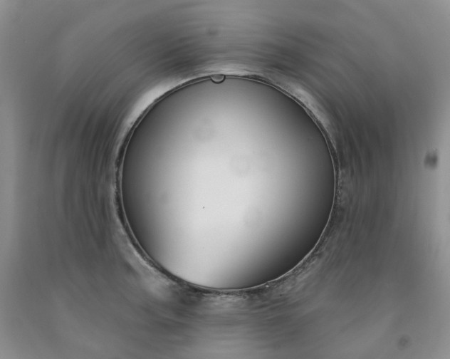 X0000091991187200709201441