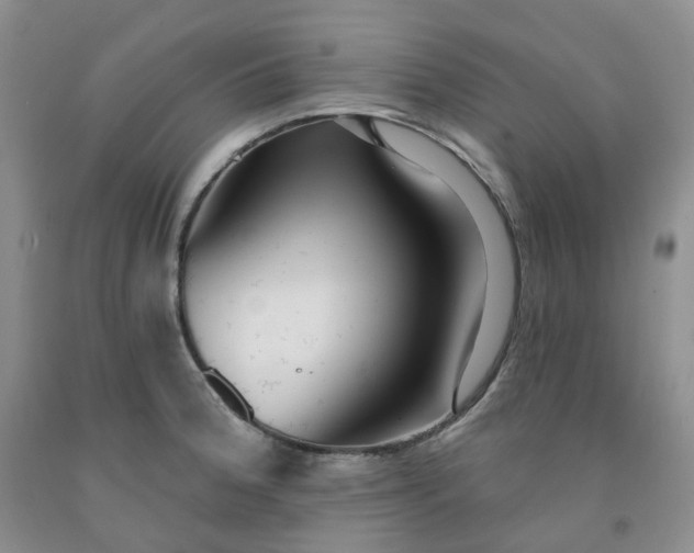 X0000091991188200709201441