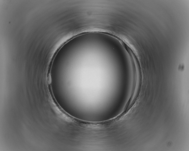 X0000091991189200709201441