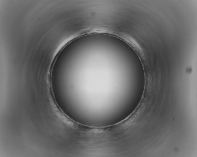 X0000091991190200709201441