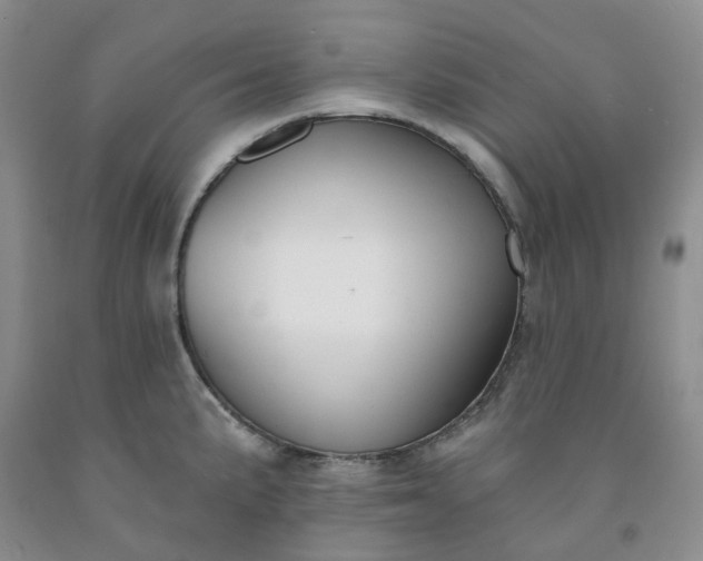 X0000091991191200709201441