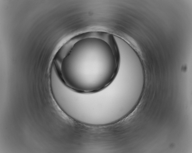 X0000091991192200709201441